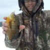 White BeaverTail Panfish Bites - Image 2